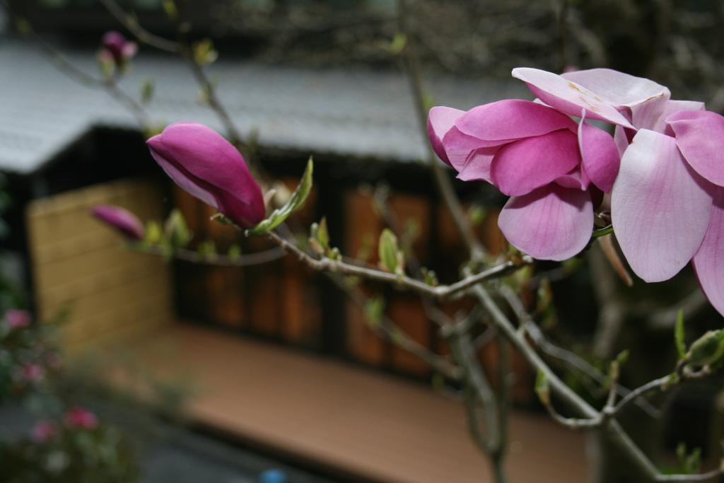 Yumoto Onsen Oharasansou Hotel Киото Екстериор снимка